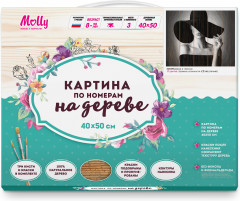 Картина по номерам «Дама в черном» - Фото 1