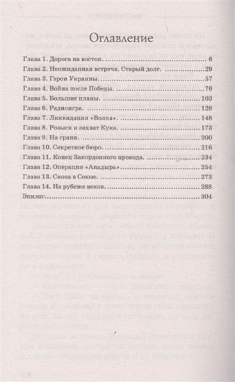 Чистильщик