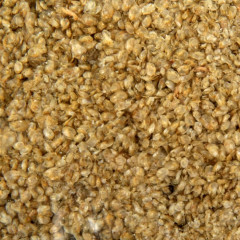 Корм для рыб «Дафния» - Фото 1