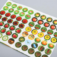 Наклейки-кружочки «Где что растёт?». Маша и Медведь - Фото 2