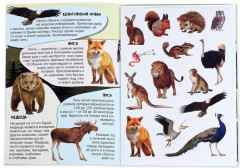 Активити-книга «Животные планеты» - Фото 1