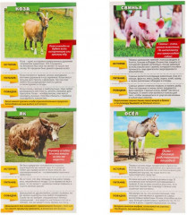 Мини-энциклопедия «Домашние животные мира» - Фото 1