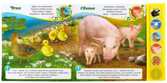 День рождения львёнка
