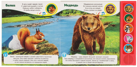 Звуки леса. Книжка с музыкальным чипом