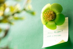 Магнит для скрепок «Blossom», зеленый - Фото 2