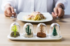 Ёмкости для специй в наборе «Four Seasons» - Фото 1