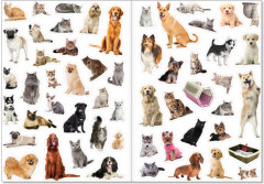 Кошки и собаки - Фото 1