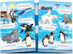 Наклейки многоразовые «Кто живёт на полюсе» - Фото 1