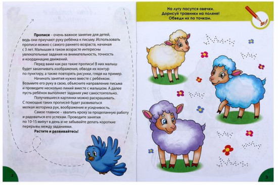 Любимые животные