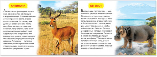 Животные жарких стран. Обучающая книга