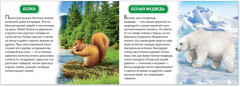Животные России. Обучающая книга - Фото 1