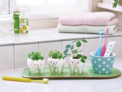 Набор для выращивания лесной земляники «Tooth Green» - Фото 1