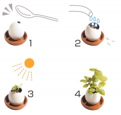 Набор для выращивания «Eggling» итальянская петрушка - Фото 4