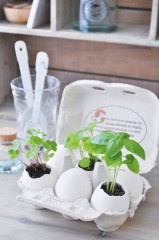 Набор для выращивания «Eggling» кайенский перец - Фото 1