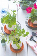 Набор для выращивания «Eggling» петуния - Фото 1