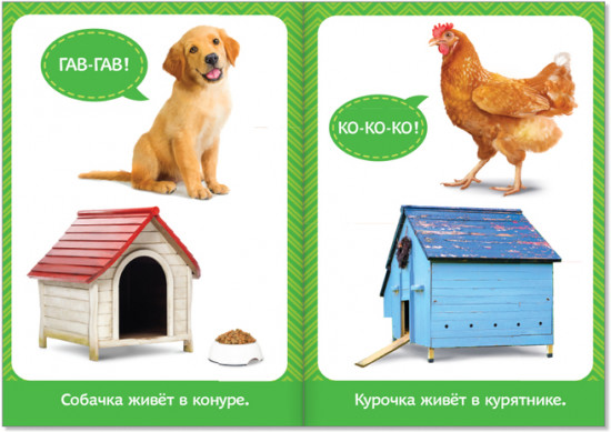 Школа талантов. Обучающий блок. 0-1 год