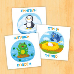 Карточки развивающие «Кто где живет» - Фото 1