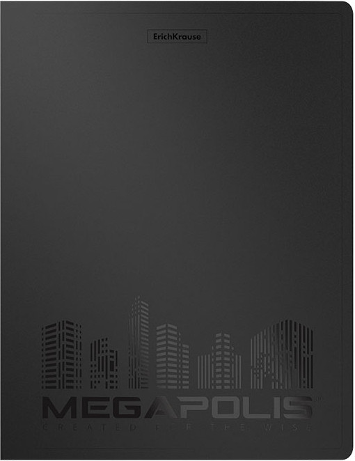 Папка на 2-х кольцах | Megapolis | Erich Krause | Фото 2