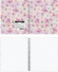 Тетрадь общая на спирали - Фото 2