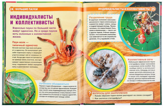 Большие пауки. Энциклопедия