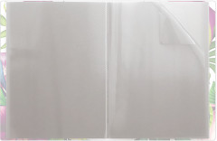 Папка с 20 прозрачными вкладышами А4 - Фото 1