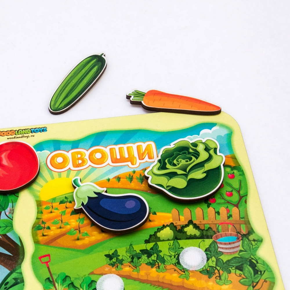 Набор обучающий «Фрукты-овощи» | WoodLandToys | Фото 5