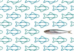 Набор скрепок «Sardine», - Фото 2