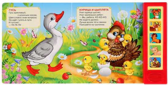 Домашние животные