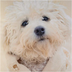 Наволочка декоративная - Фото 1