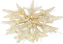 Лакомство для собак «Лапки куриные» - Фото 1