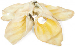 Ухо говяжье для собак - Фото 1