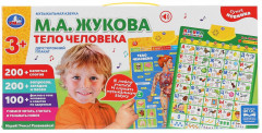 Плакат двухсторонний «Музыкальная азбука. Тело человека» - Фото 4