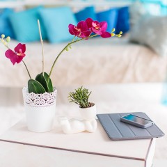 Набор для выращивания «Мечтатель», белый - Фото 1