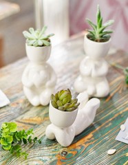 Набор для выращивания «Мечтатель», белый - Фото 4