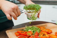 Набор для выращивания «Моя микрозелень. Редис» - Фото 3