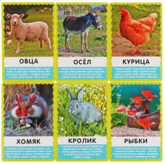 Карточки развивающие «Домашние животные» - Фото 3