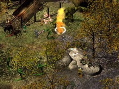 Baldur's Gate + Baldur's Gate: Берег Мечей - Фото 4