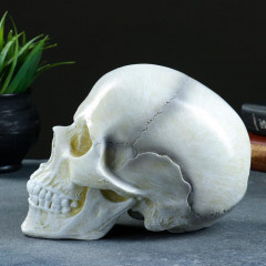 Копилка «Череп» - Фото 1