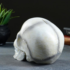 Копилка «Череп» - Фото 2