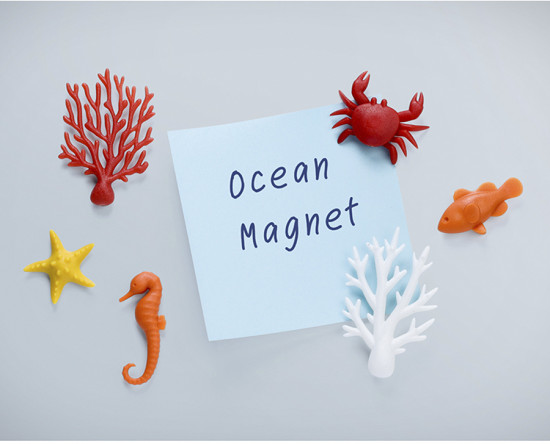 Набор магнитов для холодильника «Ocean»