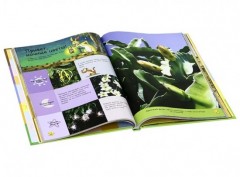 Планета Земля - Фото 1