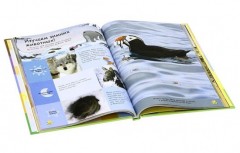 Планета Земля - Фото 2