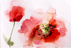 Бумага для акварели «White Swan» - Фото 2