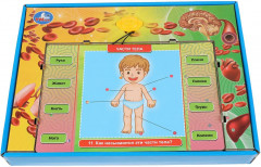 Электровикторина «Тело человека» - Фото 1