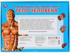 Электровикторина «Тело человека» - Фото 6