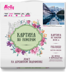 Картина по номерам «Вдоль скалистых гор» - Фото 1