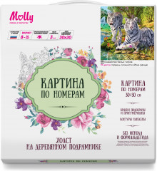 Картина по номерам «Семейство белых тигров» - Фото 1