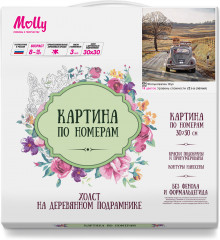 Картина по номерам «Фольксваген жук» - Фото 1