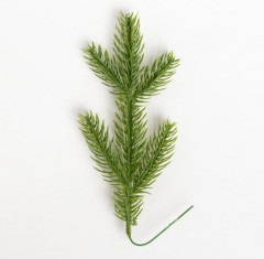 Набор подарочный «Счастья в новом году» - Фото 9