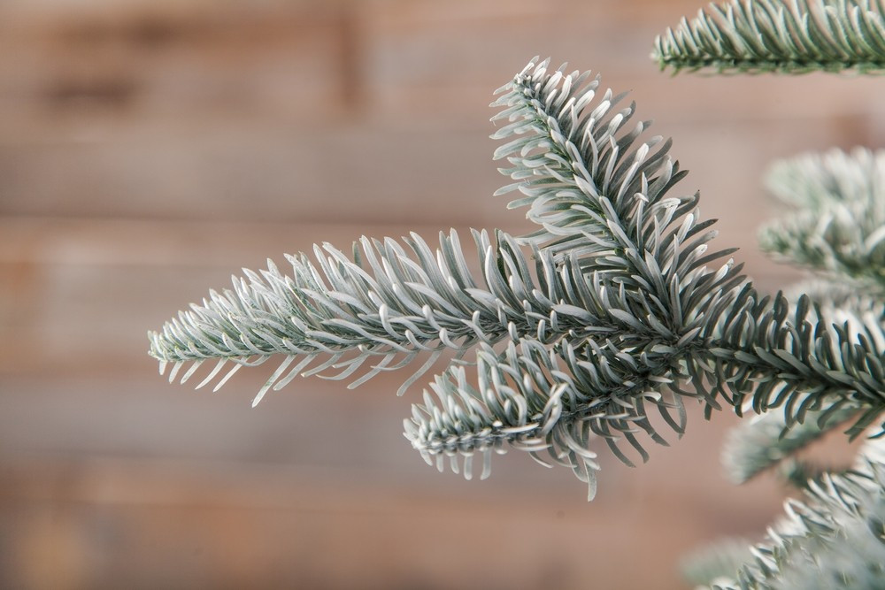 Ель искусственная пушистая литая | Нормандия | Triumph Tree | Фото 1